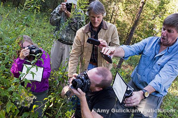 Photographers at Oak Ridge work together to photograph a spider - photo by Amy Gulick (another talented photographer at the conference).